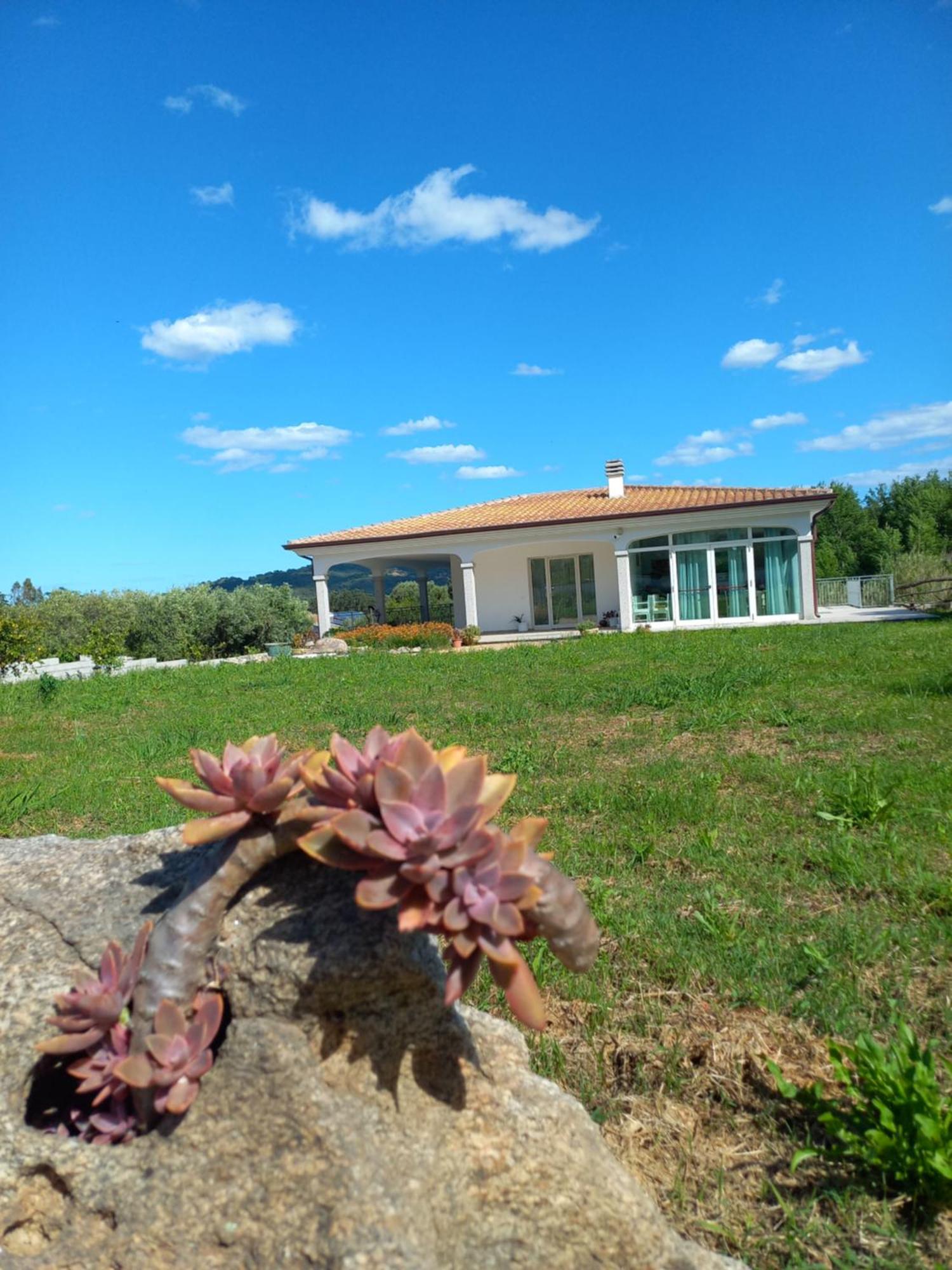 Agriturismo B&B Mares E Montes De Marrante Siniscola Ngoại thất bức ảnh