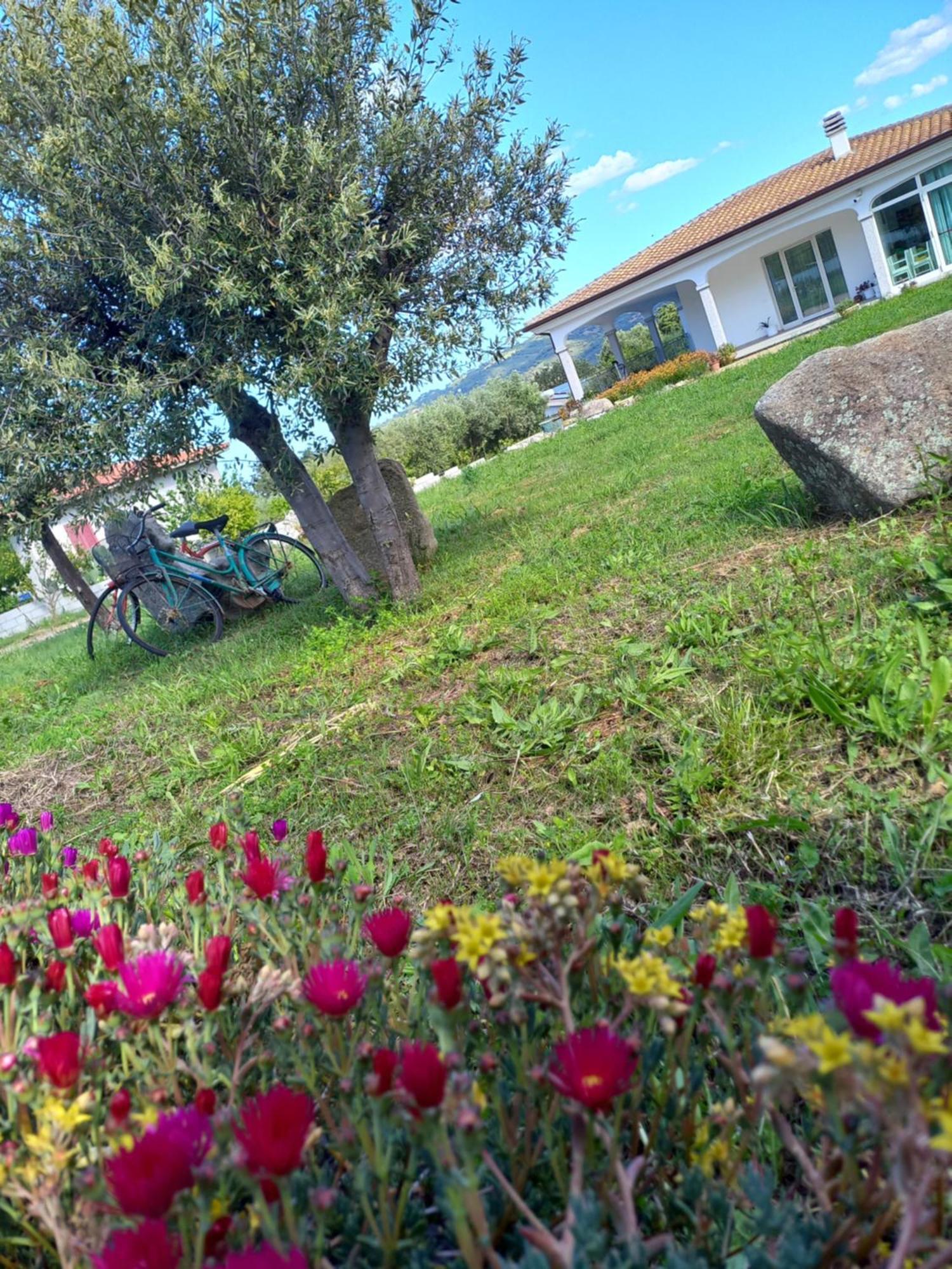 Agriturismo B&B Mares E Montes De Marrante Siniscola Ngoại thất bức ảnh